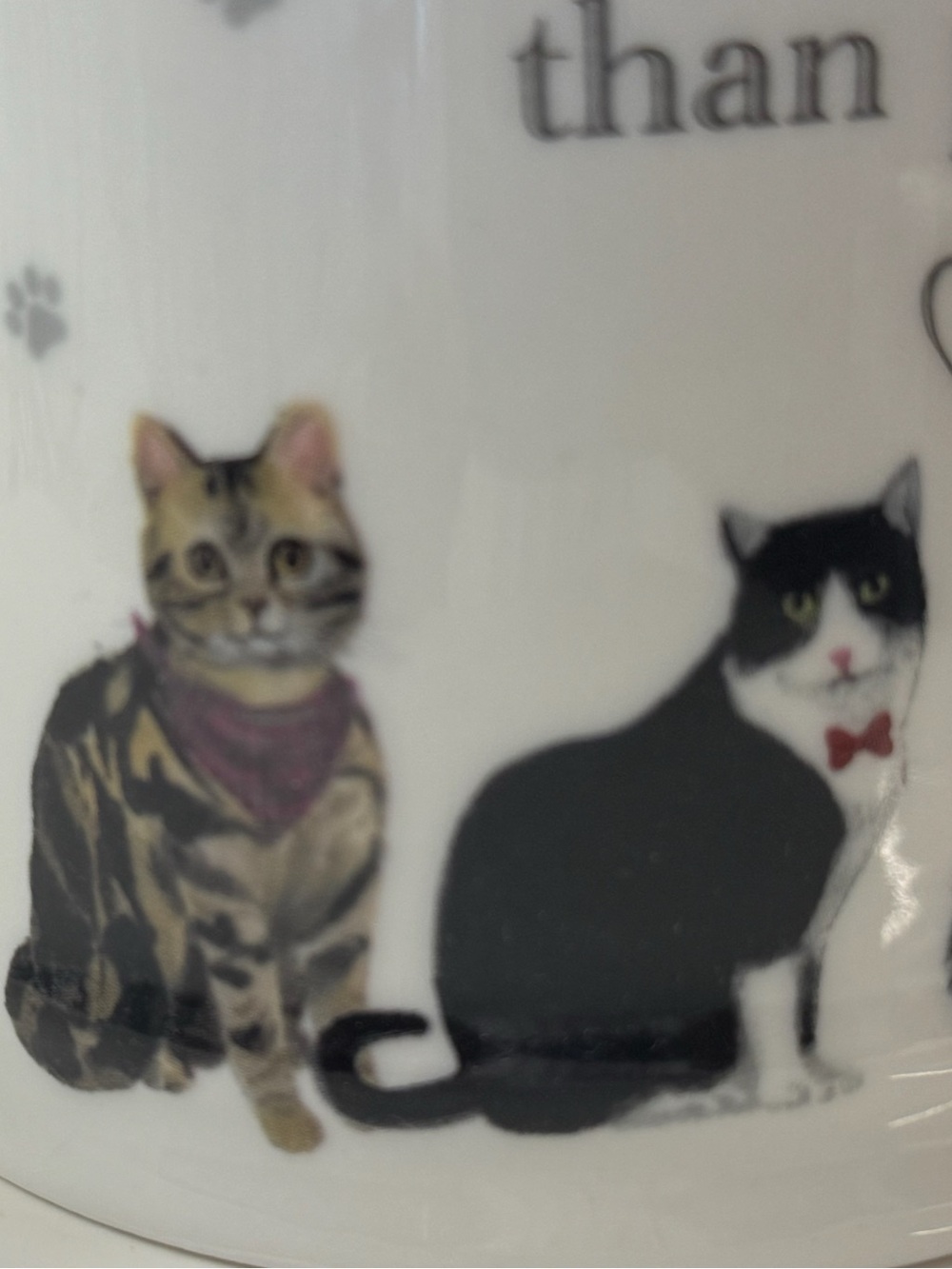 I Like Cats More Than People Fine China Mug Made in England Cat Lover Gift NW - Picture 4 of 5